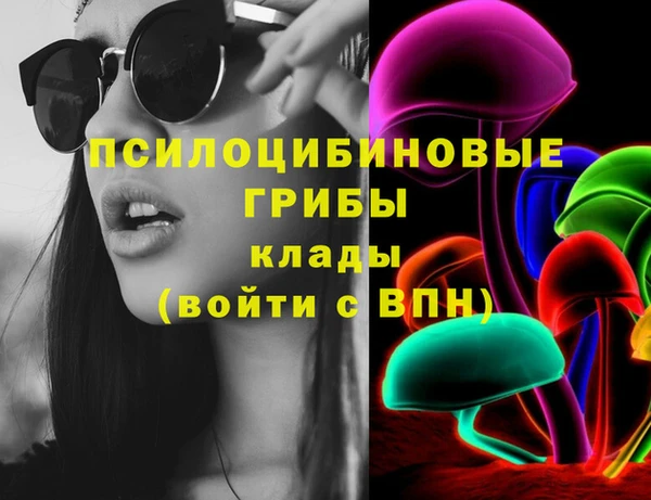 ПСИЛОЦИБИНОВЫЕ ГРИБЫ Абдулино